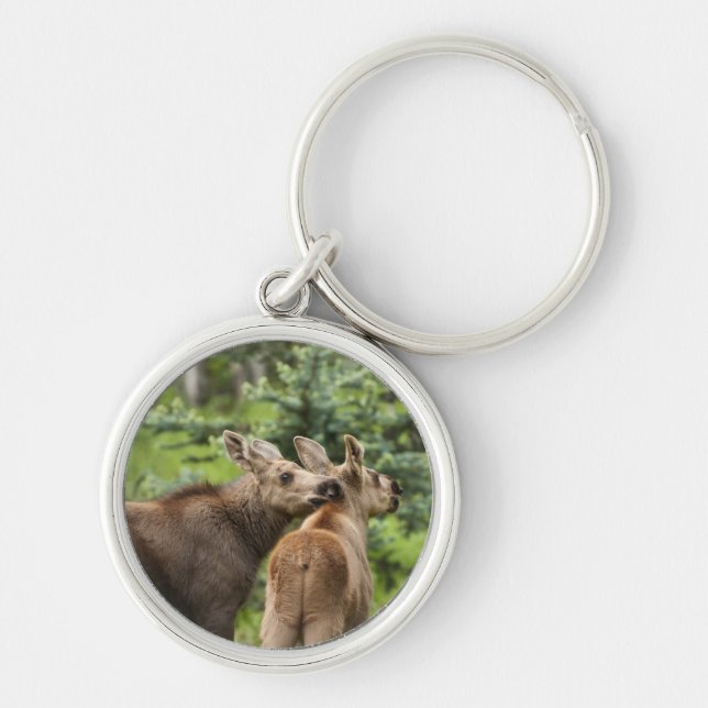 Bonded Moose Calves Key Ring (Front)