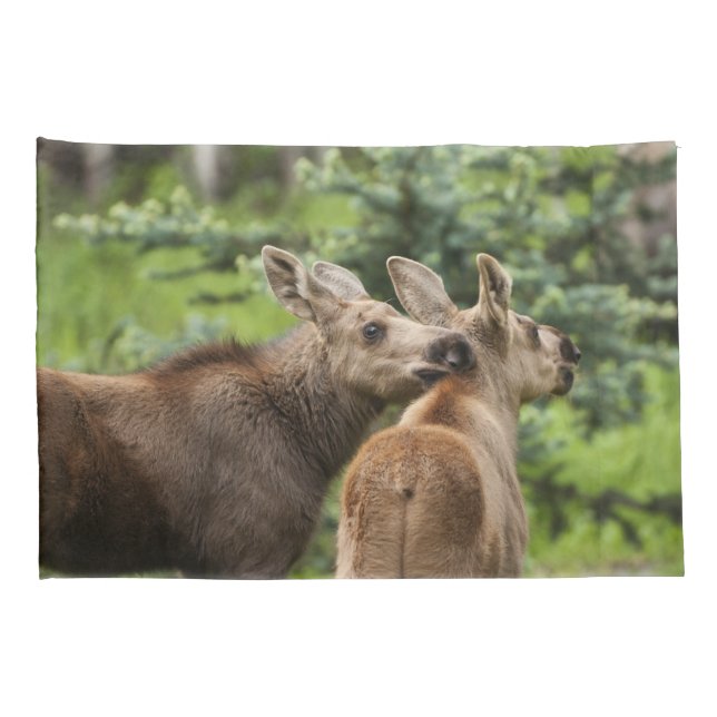 Bonded Moose Calves Pillowcase (Back-Right)