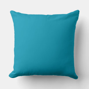 Bondi blue colour background cushion
