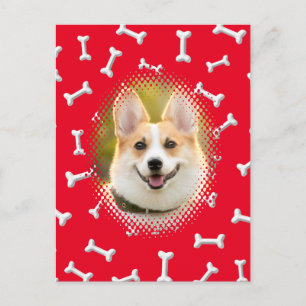 Bone Pattern Dog Frame Print Postcard