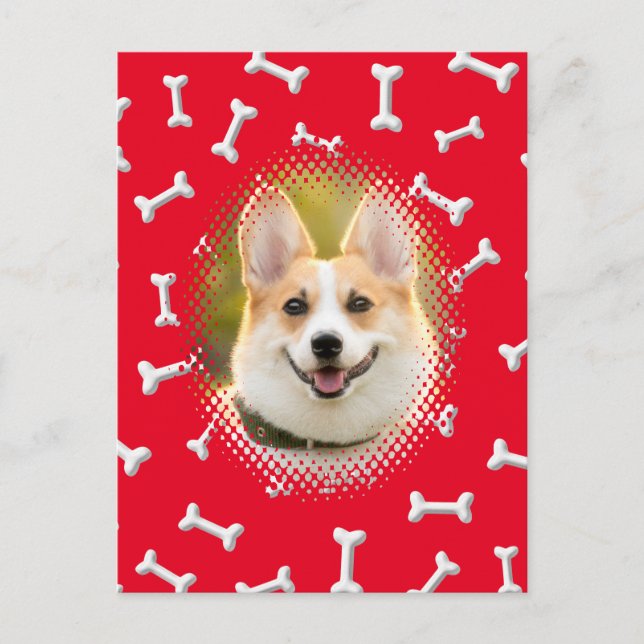 Bone Pattern Dog Frame Print Postcard (Front)