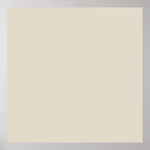Bone (solid color) poster