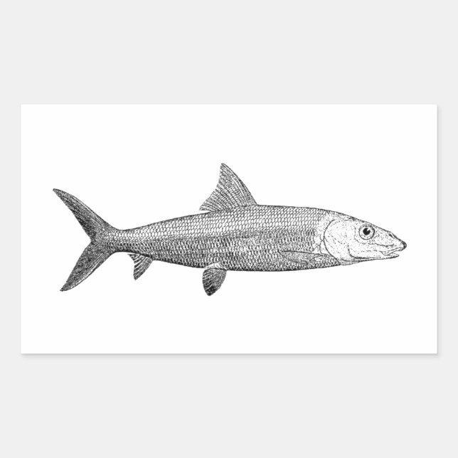 Bonefish Logo Rectangular Sticker (Front)