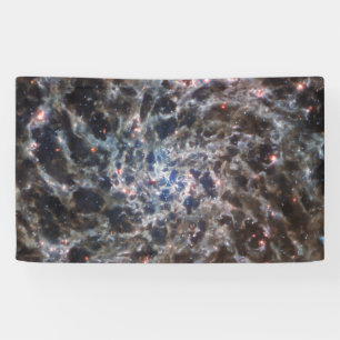 Bones of Galaxy IC5332 from JWST Banner