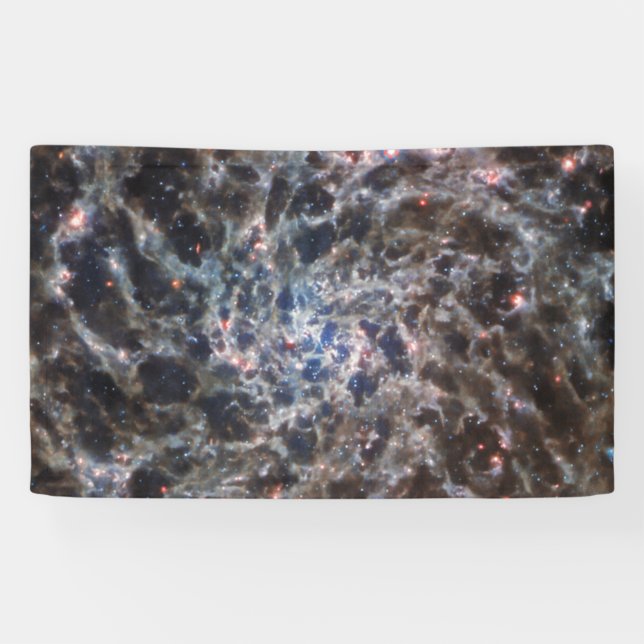Bones of Galaxy IC5332 from JWST Banner (Horizontal)