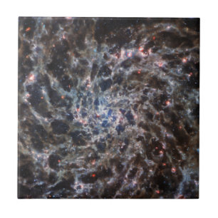 Bones of Galaxy IC5332 from JWST Ceramic Tile
