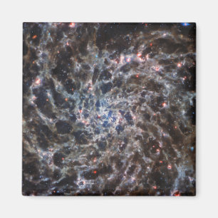 Bones of Galaxy IC5332 from JWST Magnet
