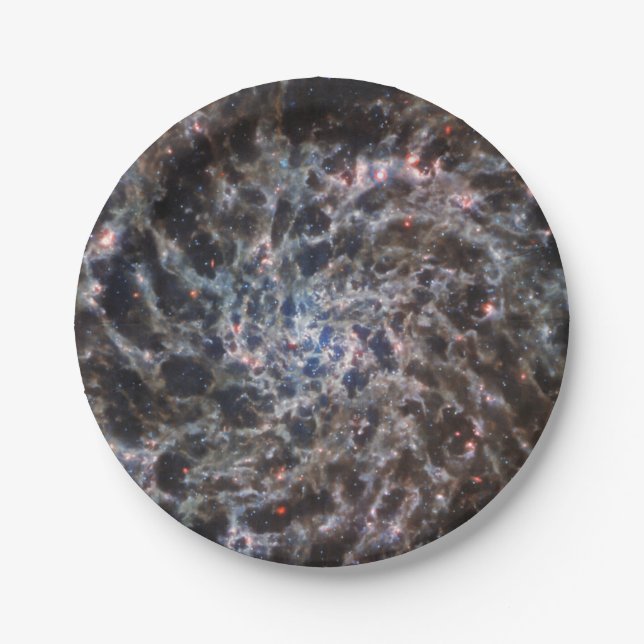 Bones of Galaxy IC5332 from JWST Paper Plate (Front)