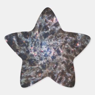 Bones of Galaxy IC5332 from JWST Star Sticker