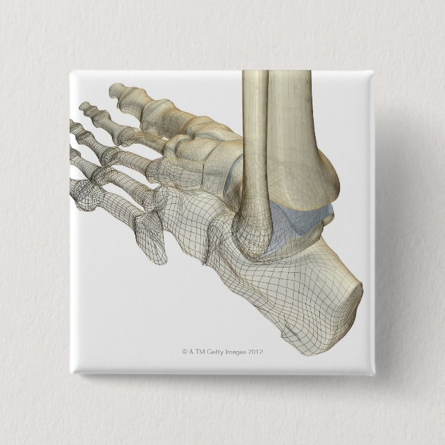 Bones of the Foot 3 15 Cm Square Badge (Front)