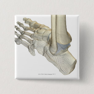 Bones of the Foot 3 15 Cm Square Badge