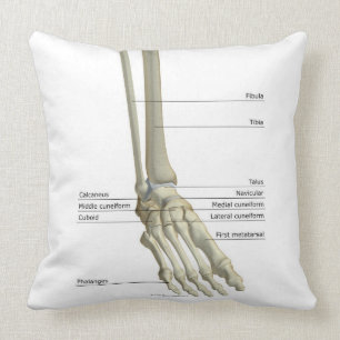 Bones of the Foot 6 Cushion