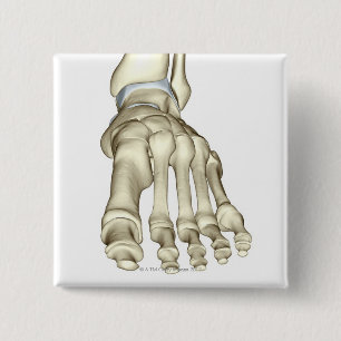 Bones of the Foot 8 15 Cm Square Badge