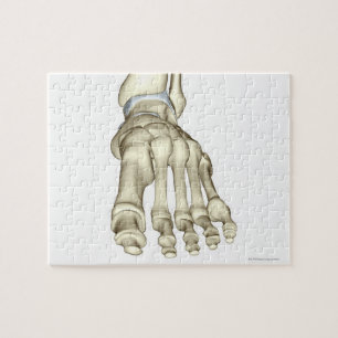 Bones of the Foot 8 Jigsaw Puzzle