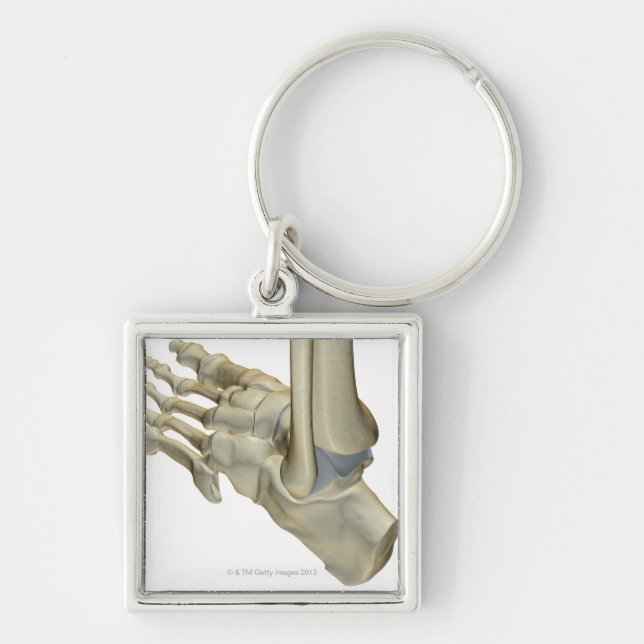 Bones of the Foot Key Ring (Front)