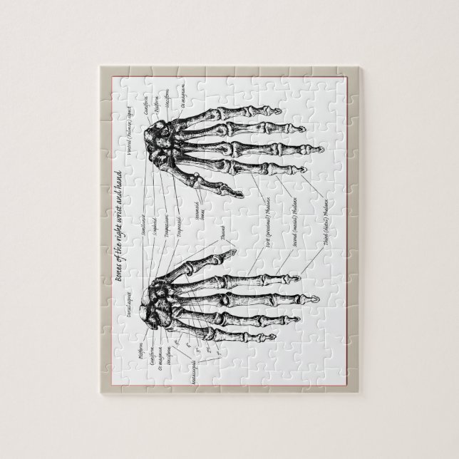 Bones of the Human Hand Jigsaw Puzzle (Vertical)