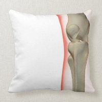 Bones of the Knee 2