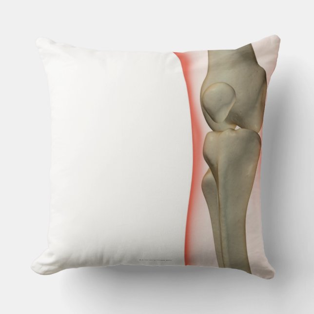 Bones of the Knee 2 Cushion (Front)