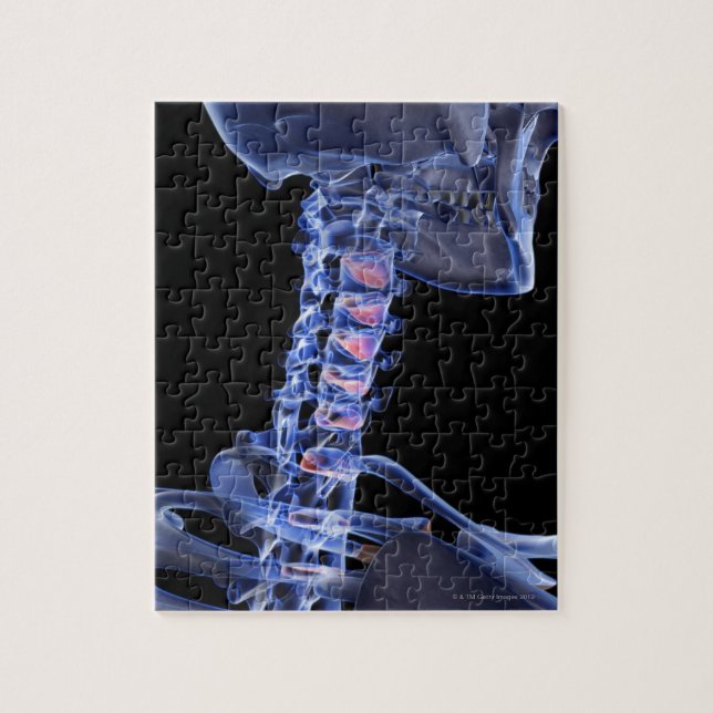 Bones of the Neck 3 Jigsaw Puzzle (Vertical)