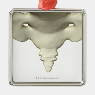 Bones of the Tail Bone Metal Tree Decoration