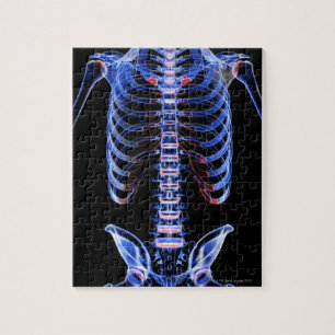 Bones of the Trunk 2 Jigsaw Puzzle