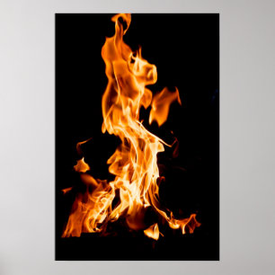 Bonfire Poster