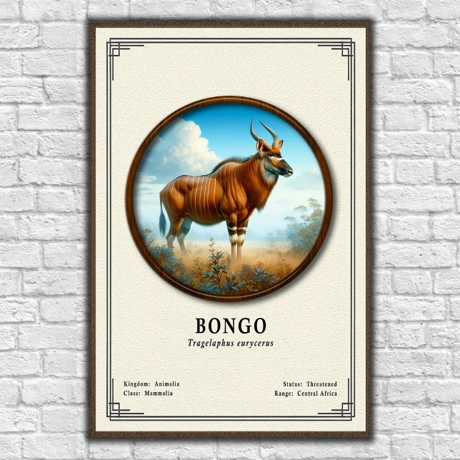 Bongo Zoology Series Poster (Creator Uploaded)