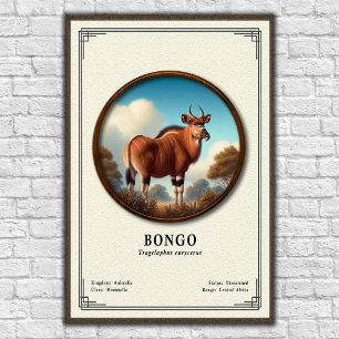 Bongo Zoology Series Poster