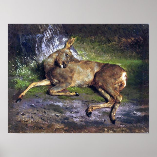 Bonheur - A Roe Deer In The Forest Poster (Front)