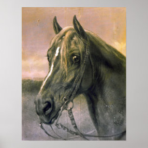 Bonheur - Head Of A Horse Poster