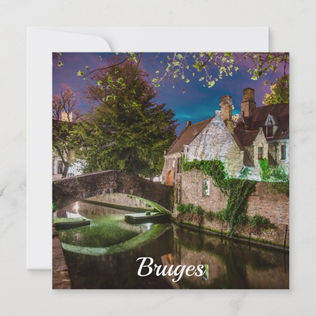 Bonifacius Bridge in Bruges (Front)