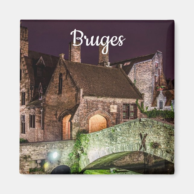 Bonifacius Bridge in Bruges Magnet (Front)