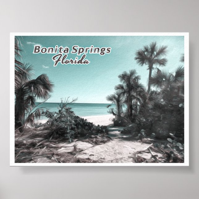 BONITA SPRINGS FLORIDA POSTER (Front)