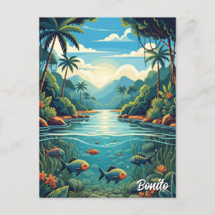 Bonito Brazil Travel Postcard