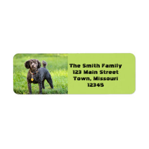 Bonjour Return Address Label