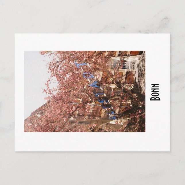 Bonn Postcard (Front)
