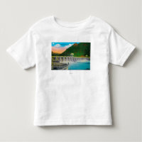 Bonneville Dam on Columbia River