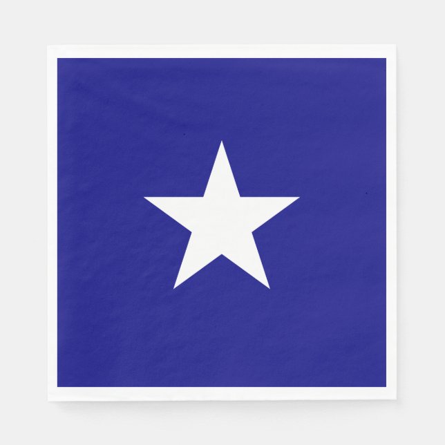 Bonnie Blue Flag Napkin (Front)
