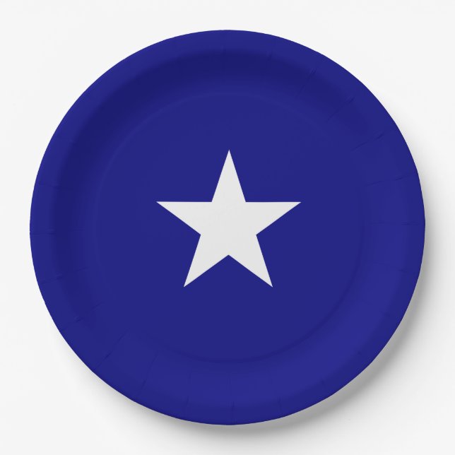 Bonnie Blue Flag Paper Plate (Front)