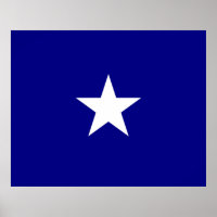 Bonnie Blue Flag