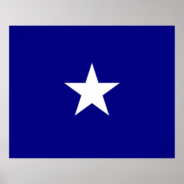 Bonnie Blue Flag Poster (Front)