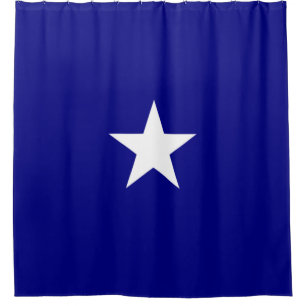 Bonnie Blue Flag Shower Curtain