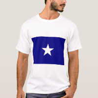 Bonnie Blue Flag