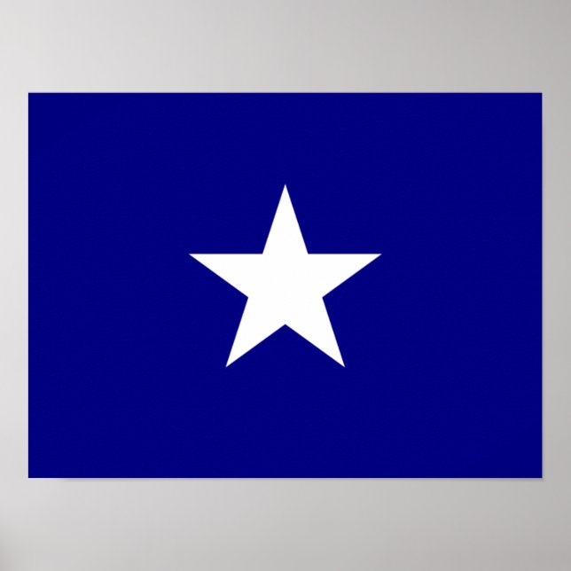 Bonnie Blue Flag White Star Poster (Front)