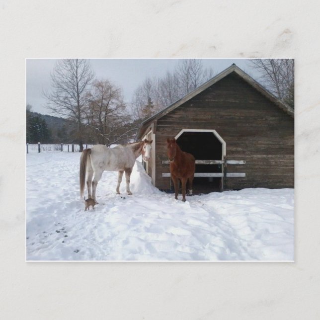 Bonnie & Clyde Postcard (Front)