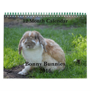Bonny Bunnies 12 Month Calendar 2016