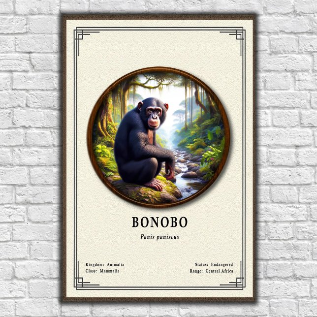 Bonobo Zoology Series Poster (Creator Uploaded)