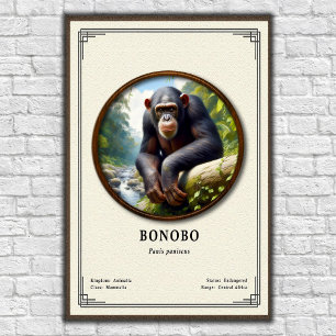 Bonobo Zoology Series Poster