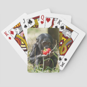Bonobo's Picnic Playing Cards