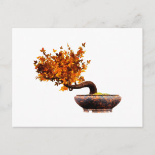 Bonsai 2 postcard